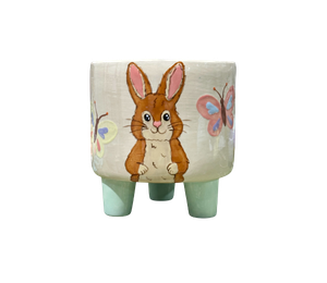 Davie Hoppy's Garden Planter